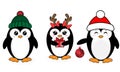 Set of three Christmas penguins with different accessory. Royalty Free Stock Photo